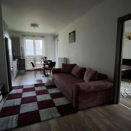 Ludi House Apartment Targu Mures Exterior photo
